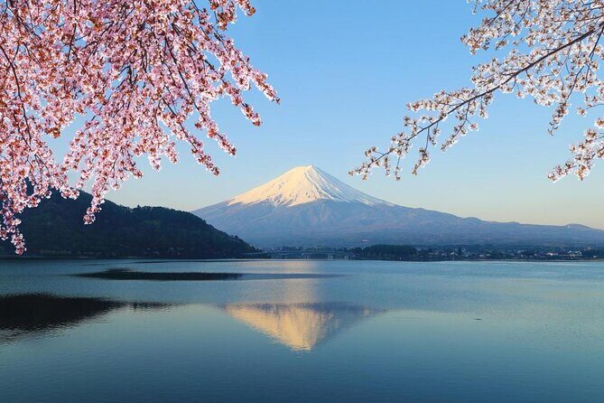 Mt Fuji Area Private Guided Tours in English-Nature up close, quiet, personal - The Experience: What to Expect from This Private Tour