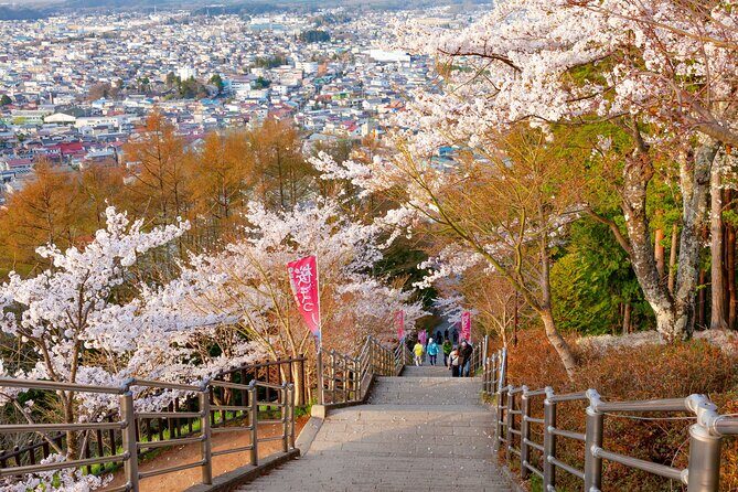 Mt. Fuji Cherry Blossom One Day Tour From Tokyo - Who Will Enjoy This Tour?