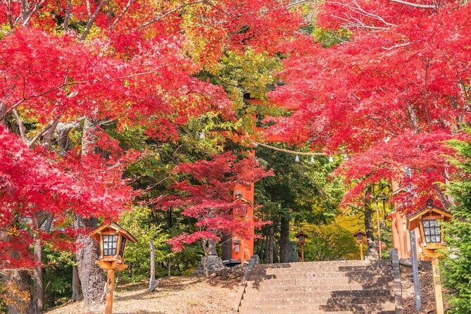 Mt Fuji Day Tour: Chureito Pagoda, Lake Kawaguchi & Oshino Hakkai - Who Should Consider This Tour?