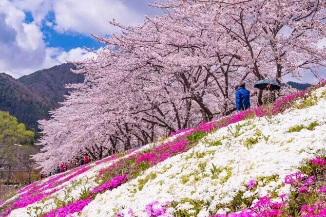 Mt. Fuji Day Tour from Shinjuku in Tokyo Japan - Authentic Experiences and Traveler Perspectives