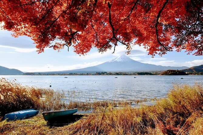 Mt Fuji day trip from Tokyo by car with photographer guide - FAQ