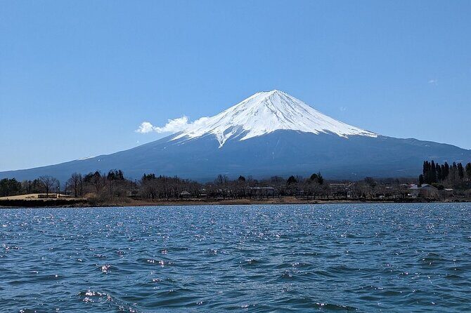 Mt. Fuji Day Trip from Tokyo with English Speaking Driver - Why This Tour Offers Great Value