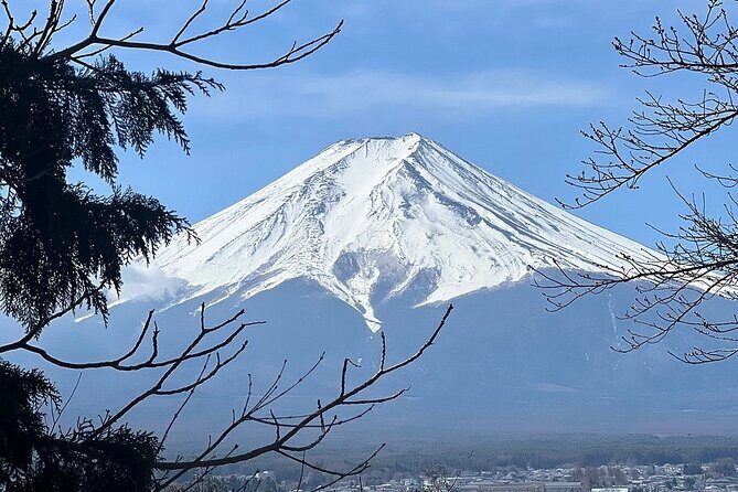 Mt. Fuji Day Trip from Tokyo with English Speaking Driver - FAQs