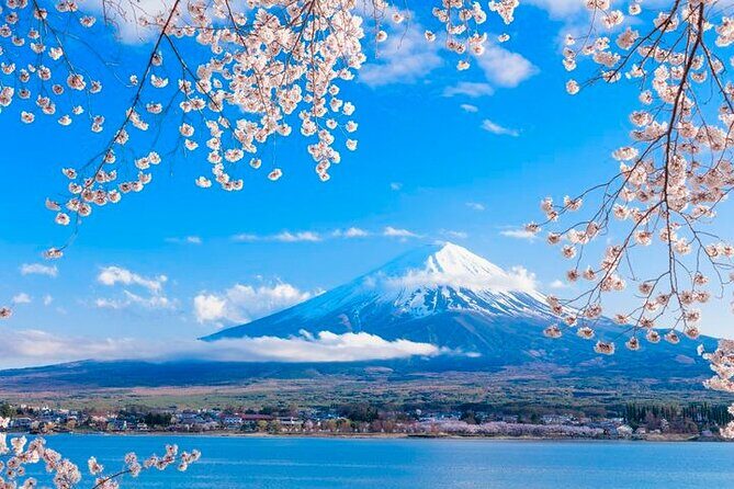 Mt. Fuji Five Lakes Area Private Tour with Licensed Guide(Kawaguchiko area Dep) - Key Points