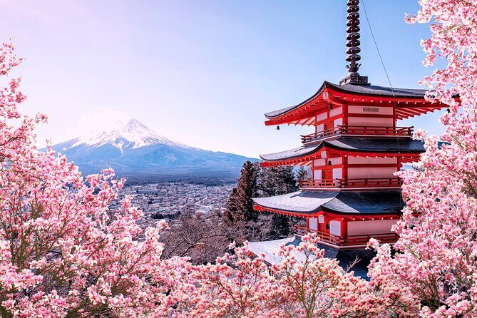 Mt. Fuji & Hakone Area Highlight Spots Car pooling Tour - Starting Point & Logistics