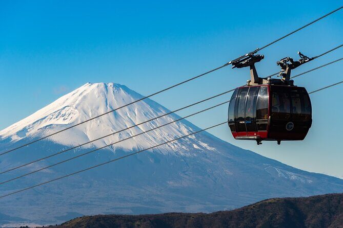 Mt. Fuji & Hakone Area Highlight Spots Car pooling Tour - The Experience in Detail