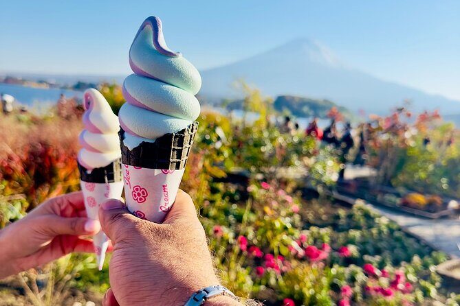 Mt. Fuji & Hakone Cherry Blossom private One Day Tour - A Close Look at the Itinerary