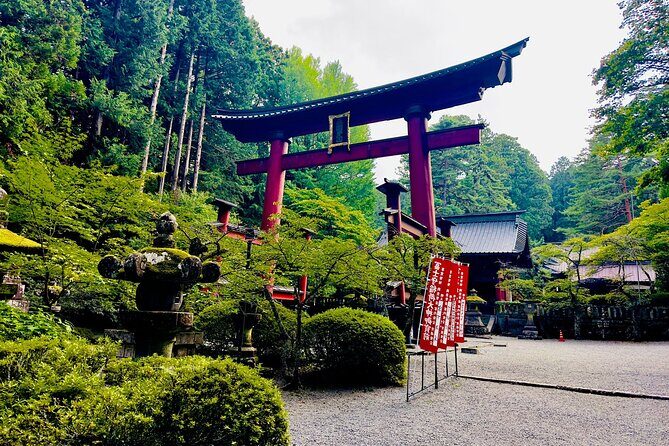 Mt. Fuji & Hakone Cherry Blossom private One Day Tour - Practical Considerations & What Travelers Are Saying