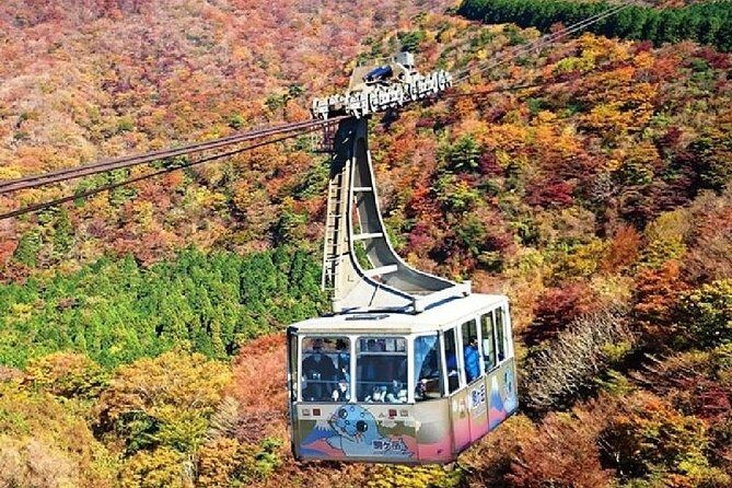 Mt Fuji & Hakone Cruise, Drum Show Bullet Train 1 Day from Tokyo - Who Is This Tour Best For?