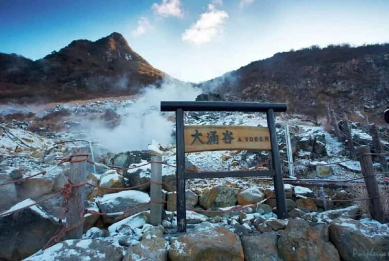 Mt.Fuji Hakone Day Tour With Lake Ashi Cruise, FREE Ropeway - The Sum Up