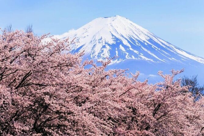 Mt. Fuji, Hakone Full-Day Private Tour with English Driver - An In-Depth Look at the Itinerary and Experience
