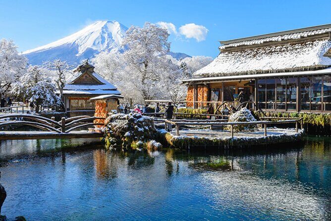 Mt. Fuji, Hakone Full-Day Private Tour with English Driver Guide - Key Points