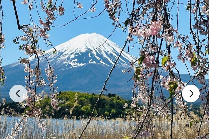 Mt. Fuji, Hakone Full-Day Private Tour with English Driver Guide - FAQ