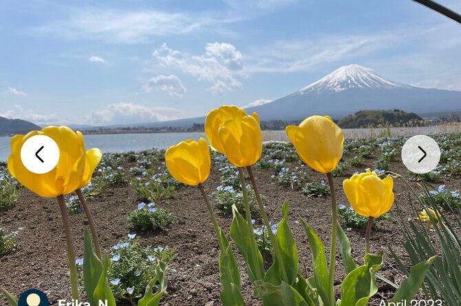 Mt. Fuji, Hakone Full-Day Private Tour with English Driver Guide - Final Thoughts