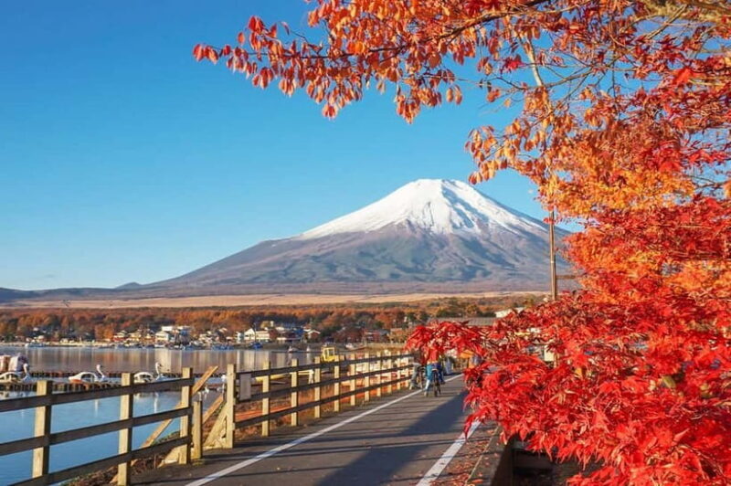 Mt Fuji Hakone/Kamakura Tour: FREE Ropeway& Lake Ashi Cruise - Who Should Consider This Tour?