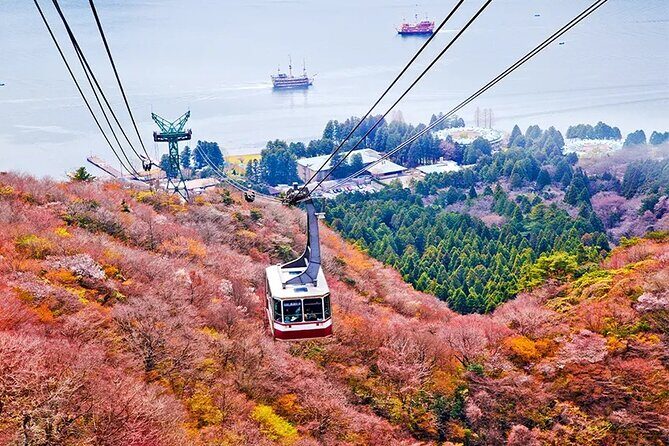 Mt. Fuji, Hakone, Owakudani, Lake Yamanaka Tour (Hakone Ropeway) - Practical Details and Tips