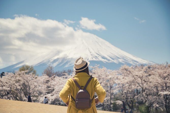 Mt Fuji & Hakone Private Day Tour w/ English Speaking Driver - The Itinerary: What to Expect
