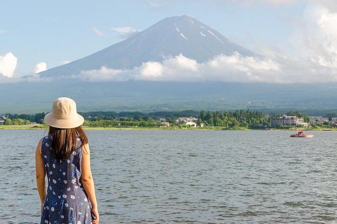 Mt Fuji & Hakone Private Day Tour w/ English Speaking Driver - Final Thoughts