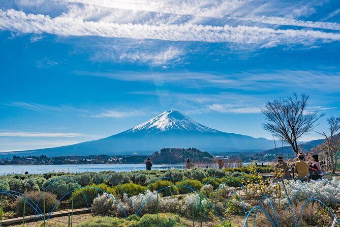 Mt. Fuji Highlight Photo Spots One Day Tour from Tokyo - The Sum Up