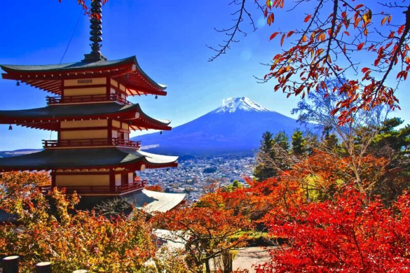 Mt.Fuji, Lake Kawaguchiko, Oishi Park & Saiko Village Tour - Overview of the Experience