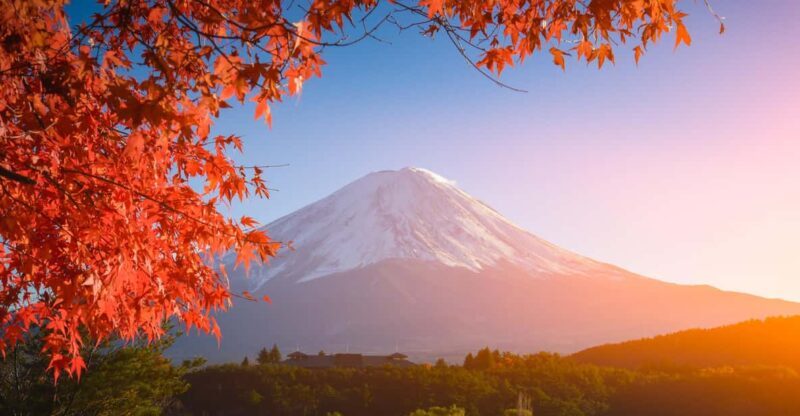 MT.Fuji: Mount Fuji Private day Tour English Speaking Driver - Who Is This Tour Best For?