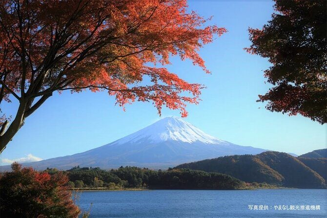Mt.Fuji, Oishi Park & Arakurayama Sengen Park Bus Tour From Tokyo - What Travelers Say