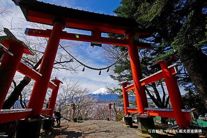 Mt.Fuji, Oishi Park & Arakurayama Sengen Park Bus Tour From Tokyo - Who Should Consider This Tour?