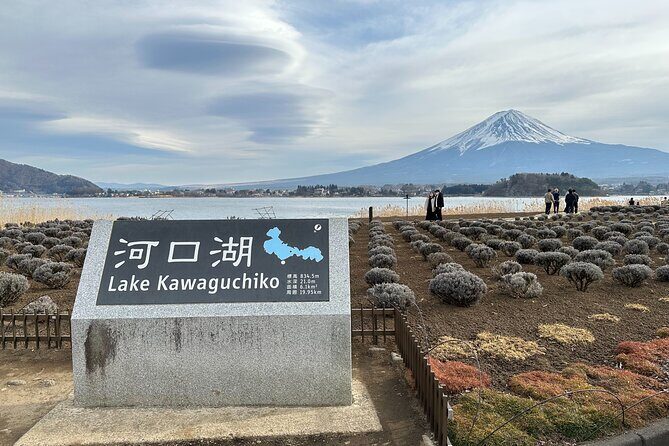 Mt.Fuji, Oishi Park & Arakurayama Sengen Park Bus Tour From Tokyo - The Sum Up