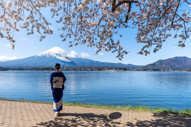 Mt. Fuji Oshino Hakkai and Gotemba Outlets Tour - The Itinerary Breakdown: What to Expect