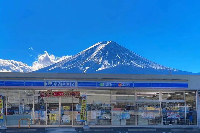 Mt. Fuji Panoramic Ropeway, Oshino Hakkai & Sightseeing Day Tour - An In-Depth Look at the Tour Itself