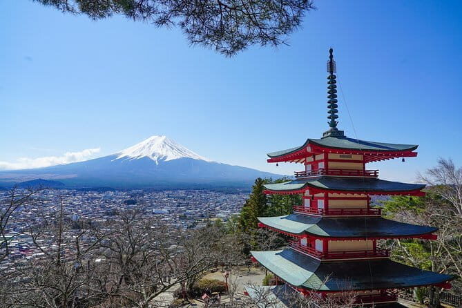 Mt. Fuji Private Chartered Tour with Nature & Wasabi Farm - An In-Depth Look at the Itinerary