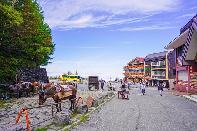 Mt. Fuji Private Chartered Tour with Nature & Wasabi Farm - Conclusions: Who Will Love This Tour?