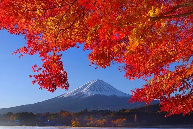 Mt Fuji Private Day Trip from Tokyo with English Speaking Driver - Why the Tour Wins for Travelers
