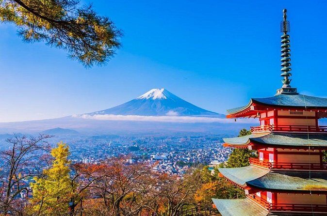 Mt Fuji Private Day Trip from Tokyo with English Speaking Driver - The Sum Up