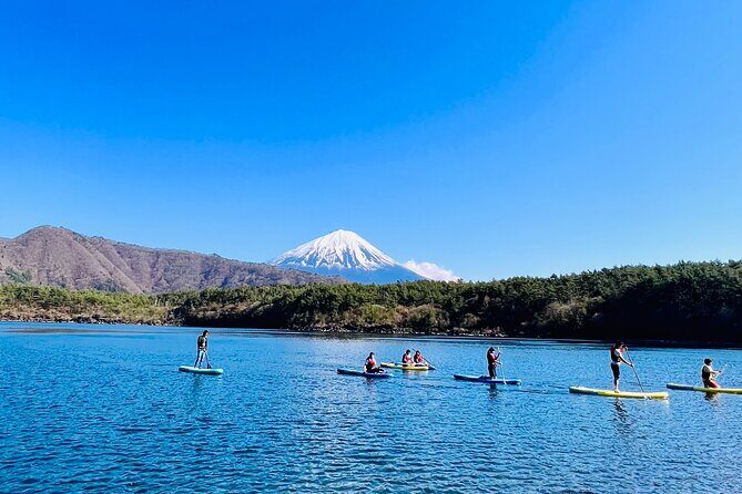 Mt Fuji Private Day Trip from Tokyo with English Speaking Driver - FAQs