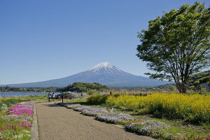 Mt.Fuji Private SightSeeing Day Tour (From Tokyo) - Exploring Mount Fuji: A Deep Dive into the Itinerary