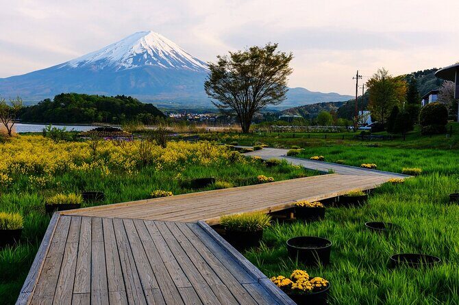 Mt.Fuji Private SightSeeing Day Tour (From Tokyo) - Frequently Asked Questions
