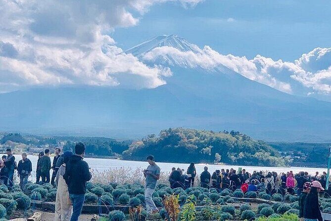 Mt Fuji Private Sightseeing Day Trip With English Speaking Driver - The Sum Up