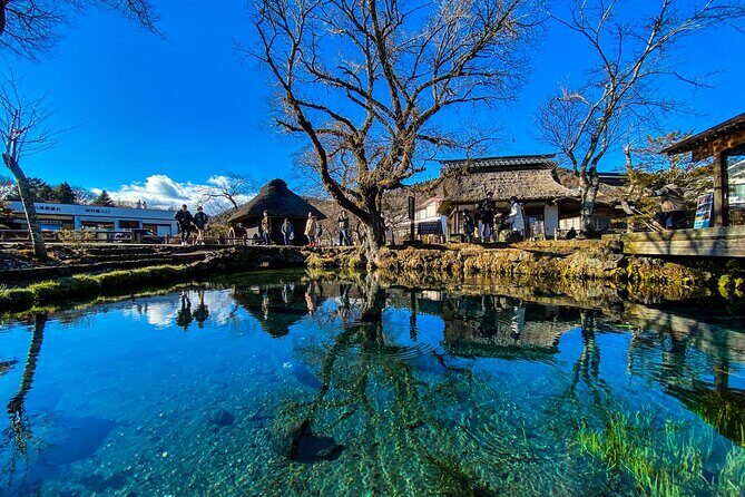MT. FUJI/ Private Tour delivered and guided by a top-tier driver - Who Will Love This Tour?