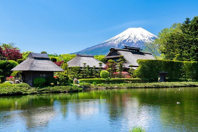 Mt. Fuji Private Tour with English Speaking Driver - The Sum Up