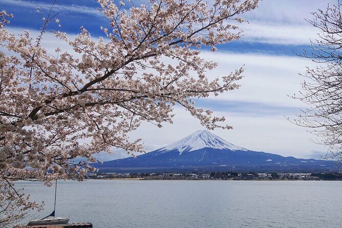 Mt. Fuji Private Tour with English Speaking Driver - FAQ