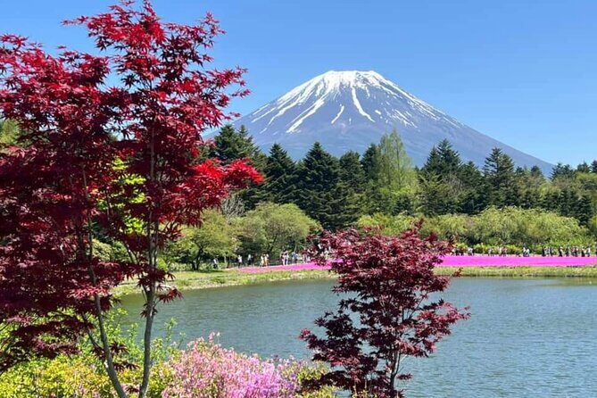 Mt Fuji Private Tour with English speaking driver - Key Points