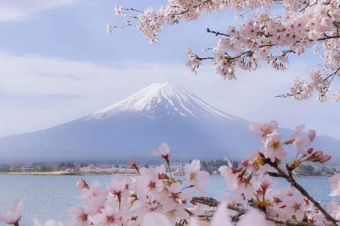 Mt Fuji Private Tour with English speaking driver - A Deep Dive into the Tour Experience