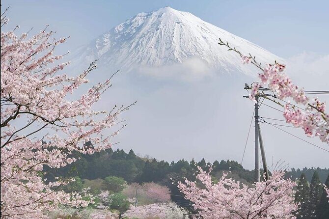 Mt Fuji Private Tour with English speaking driver - Who Will Love This Tour?