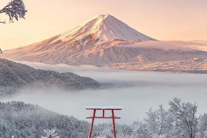 Mt Fuji Private Tour with English speaking driver - The Sum Up: Who Is This Tour Best For?