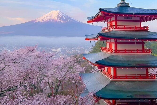 Mt Fuji Private Tour with English speaking driver - FAQ