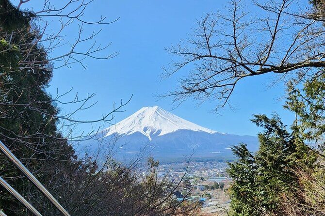 Mt Fuji Private Tour with English Speaking Driver - An In-Depth Look at the Tour Experience