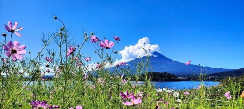 Mt. Fuji Private Tour With Hotel Pick Up From Tokyo - A Closer Look at the Itinerary