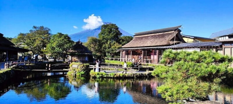 Mt. Fuji Private Tour With Hotel Pick Up From Tokyo - Who Is This Tour Best For?