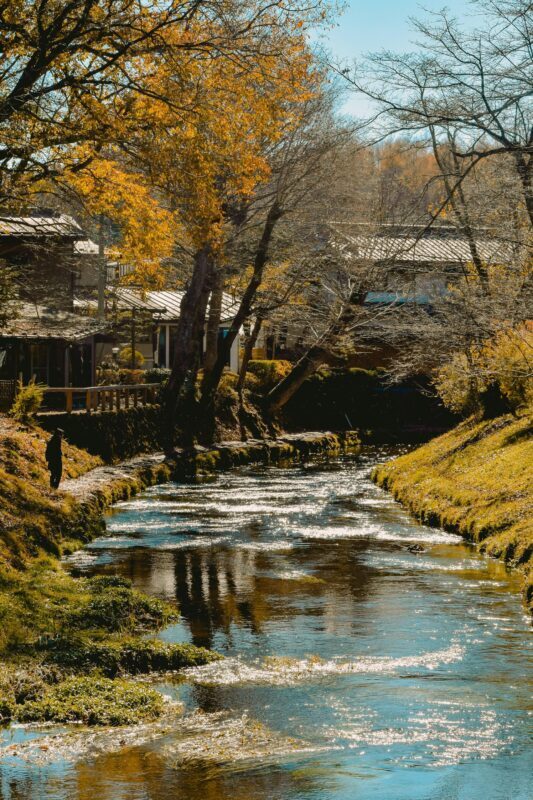 Mt. Fuji Private Tour With Hotel Pick Up From Tokyo - FAQ